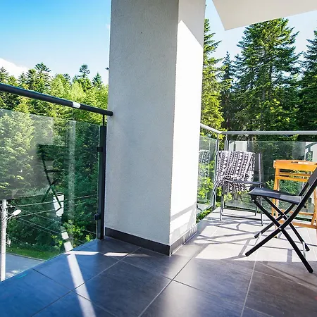 Zielony Las, Sun & Snow Apartment